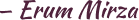 Erum Mirza signature
